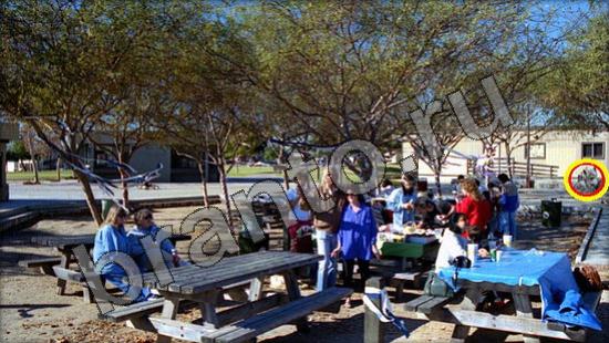 Где же кот ответы в одноклассниках Уровень 1399