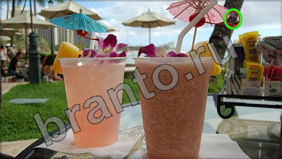 ответы на игру Где же кот Уровень 1401