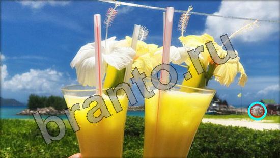 ответы к игре Где же кот Уровень 1405