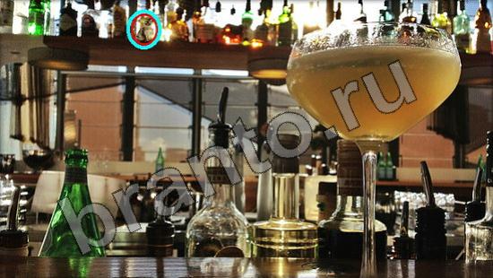 Где же кот? ответы Уровень 1408