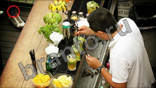 Где же кот? подсказки Уровень 1409