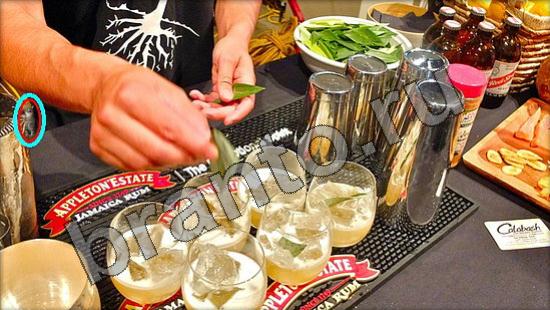 Где же кот игра ответы Уровень 1413