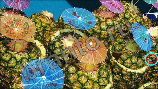 Где же кот ответы в картинках Уровень 1416