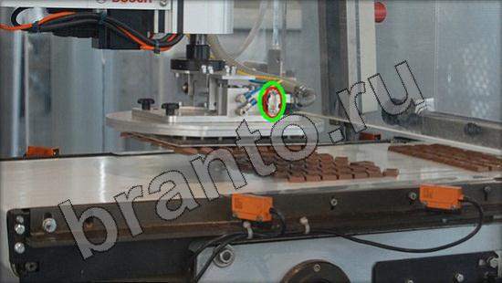 ответы на игру Где же кот в одноклассниках Уровень 1423