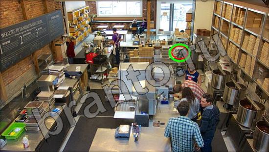 решения для игры Где же кот Уровень 1428