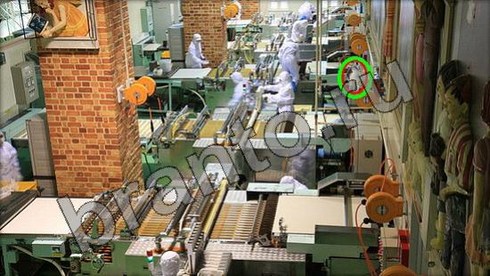 Где же кот помощь в картинках Уровень 1431