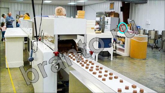 решения на игру Где же кот Уровень 1435