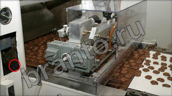 ответы на игру Где же кот Уровень 1436