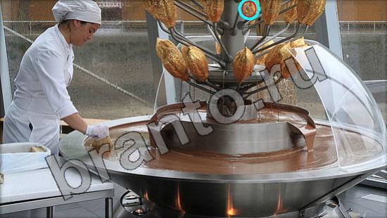 Где же кот ответы в одноклассниках Уровень 1439