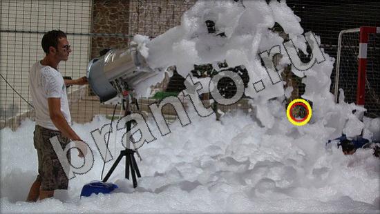 Решения на игру Где же кот Уровень 1443