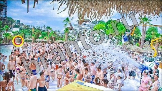 Помощь на игру Где же кот Уровень 1444