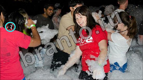 ответы к игре Где же кот Уровень 1445