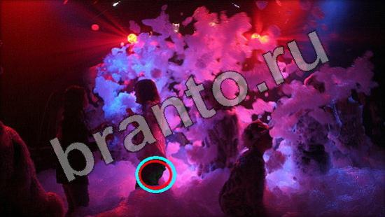 ответы на игру в одноклассниках Где же кот Уровень 1446