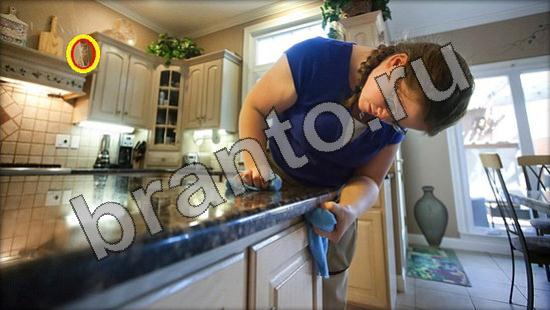 ответы на игру Где же кот в одноклассниках Уровень 1463