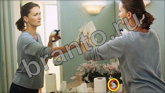 Прохождение игры Где же кот Уровень 1464