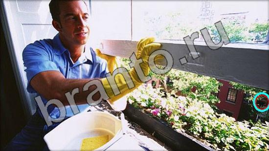 ответы Где же кот Уровень 1465