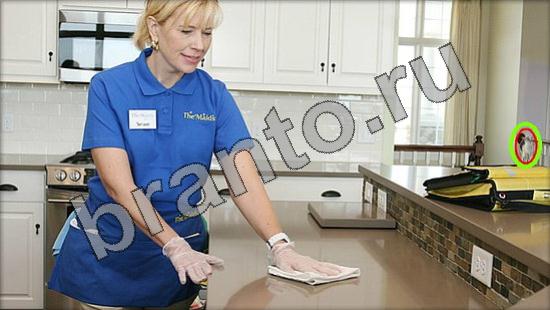 ответы на игру Где же кот в скриншотах Уровень 1472