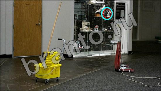 ответы на игру Где же кот Уровень 1474