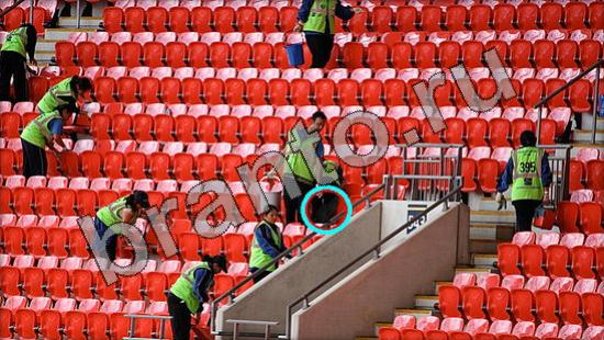 ответы на игру Где же кот Уровень 1476