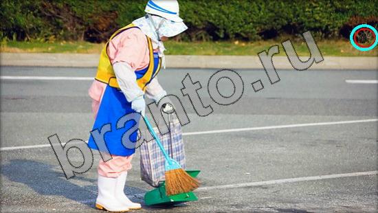 Где же кот ответы в одноклассниках Уровень 1479