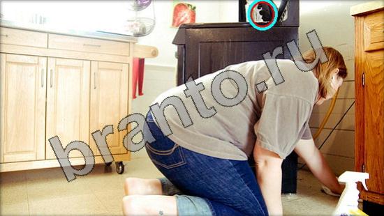 Где же кот игра ответы Уровень 1480