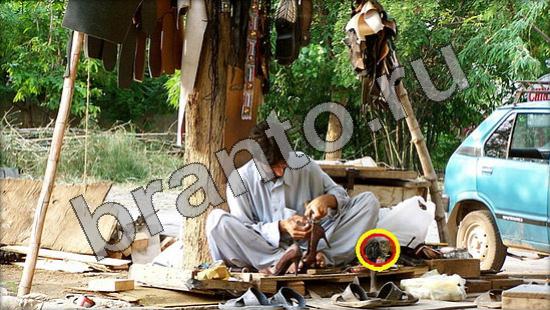 Подсказки на игру Где же кот Уровень 1482