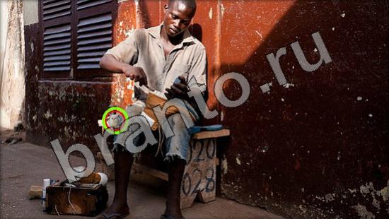 Где же кот игра ответы в одноклассниках Уровень 1487