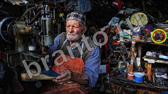 Где же кот? ответы Уровень 1488