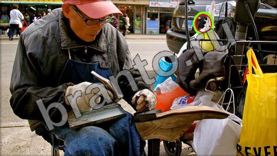 решебник на игру Где же кот Уровень 1491