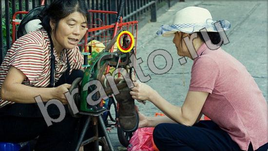 Где же кот игра подсказки Уровень 1494