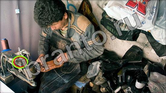 Игра Где же кот подсказки Уровень 1498