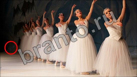 Где же кот прохождение игры Уровень 1502