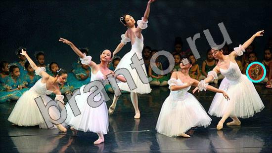 ответы Где же кот Уровень 1505