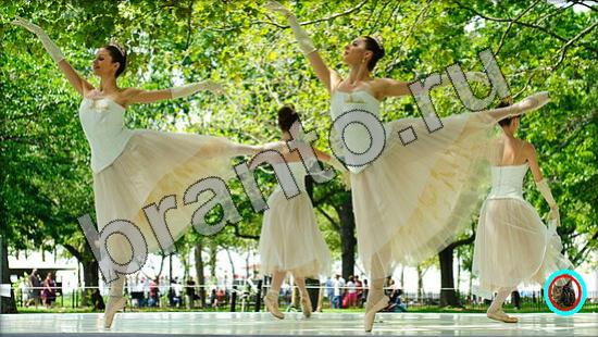 ответы Где же кот? в одноклассниках Уровень 1506