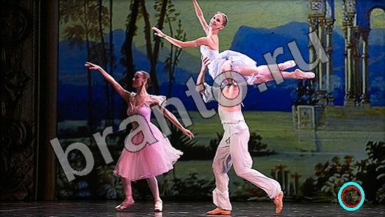 ответы для игры Где же кот Уровень 1507