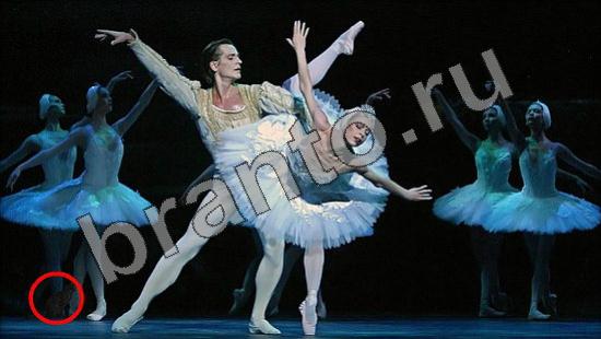 решения для игры Где же кот Уровень 1508