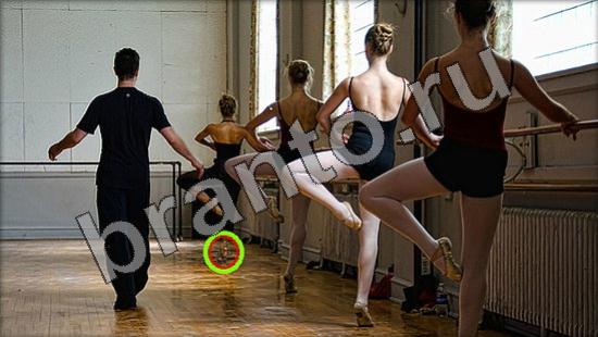 игра в одноклассниках Где же кот ответы Уровень 1510