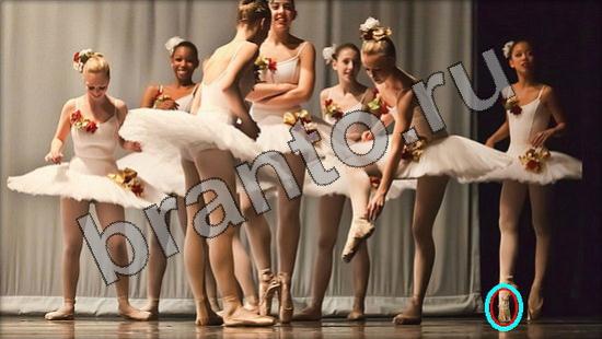 Где же кот помощь в картинках Уровень 1511