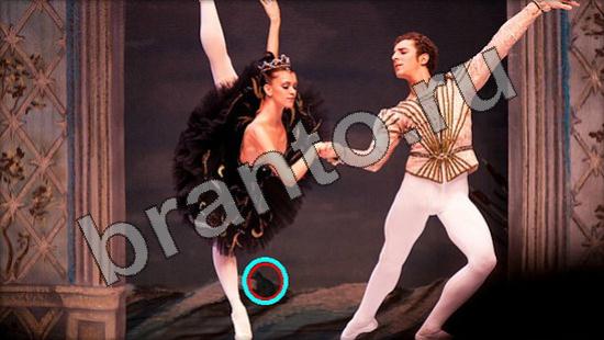 ответы на игру Где же кот в скриншотах Уровень 1512