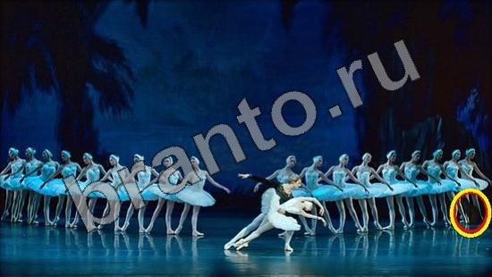 Где же кот ответы на новые задания Уровень 1513