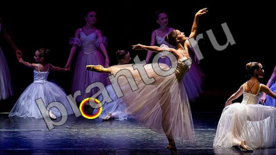 решения на игру Где же кот Уровень 1515