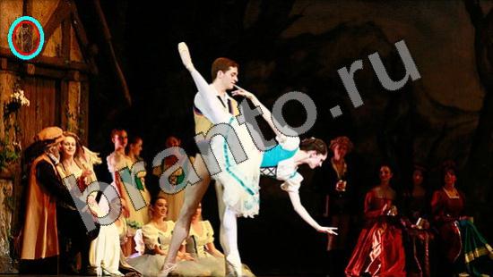 ответы на игру Где же кот Уровень 1516