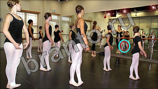 Где же кот ответы в одноклассниках Уровень 1519