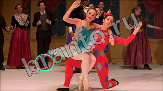 Где же кот игра ответы Уровень 1520