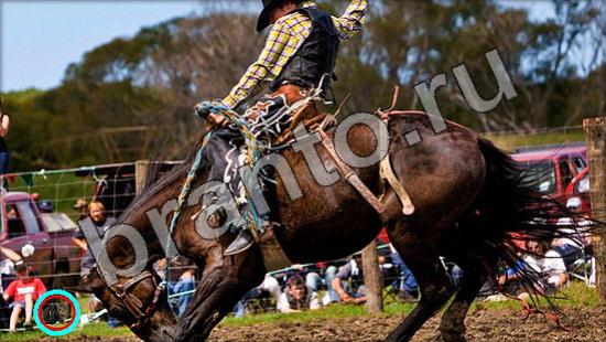 Решения на игру Где же кот Уровень 1523