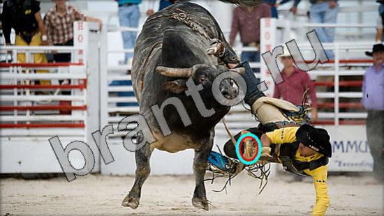 Помощь на игру Где же кот Уровень 1524