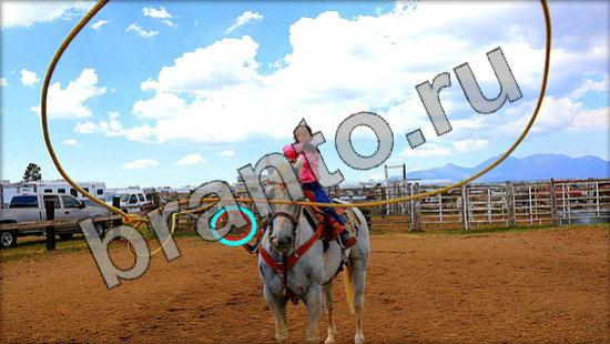 Где же кот игра ответы в одноклассниках Уровень 1527