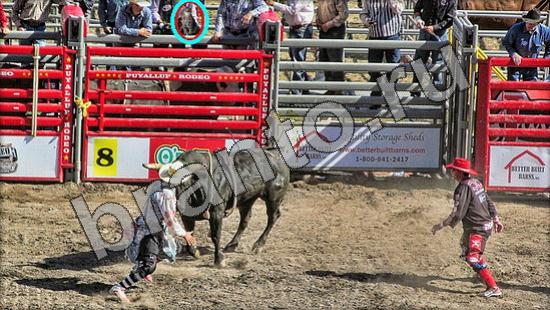 Где же кот? помощь Уровень 1530