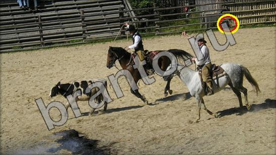 Где же кот игра ответы Уровень 1533