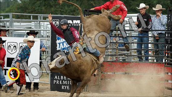 Где же кот игра подсказки Уровень 1534